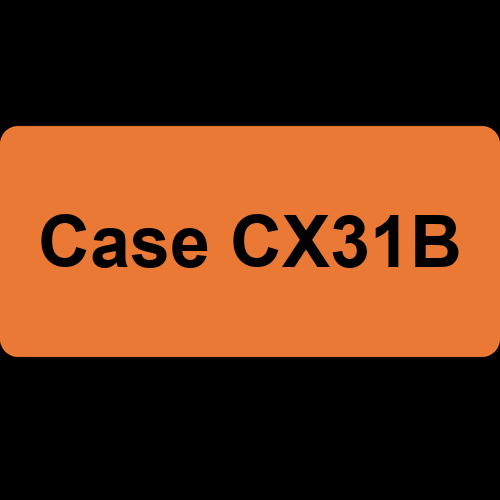 Case CX31B